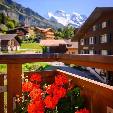 Bella Vista 4 Wengen